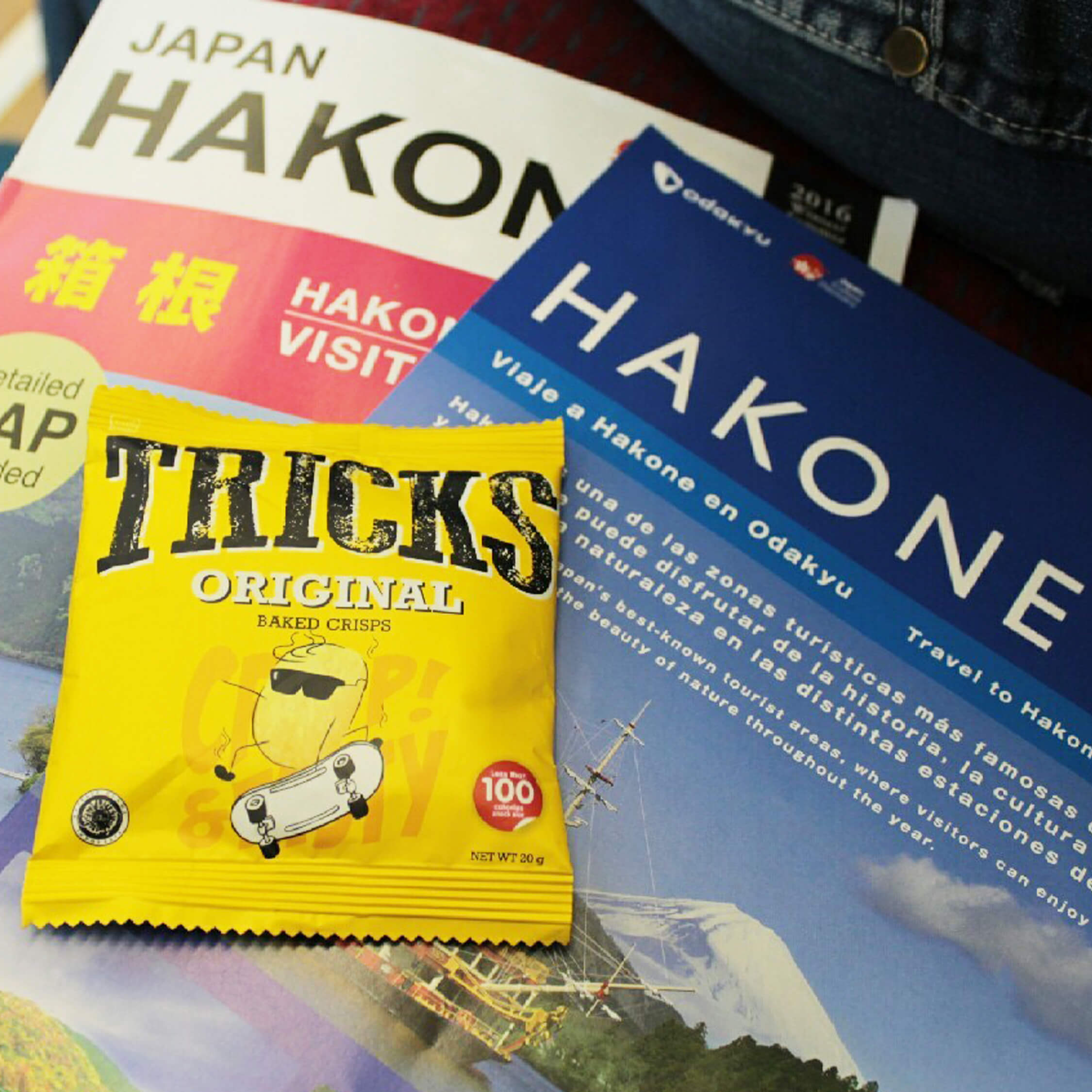 Hakone Guide Book